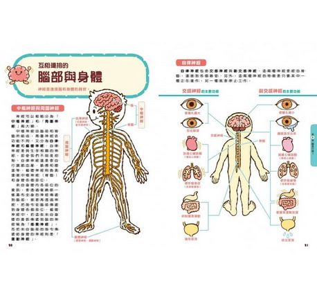 腦的祕密：清楚解說腦的構造與功用！